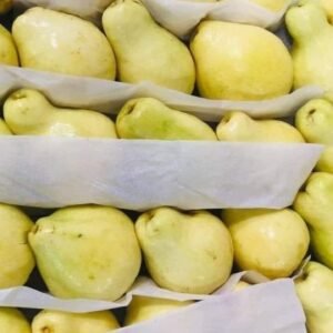 Ägyptische Guave (Ägyptische Psidium)