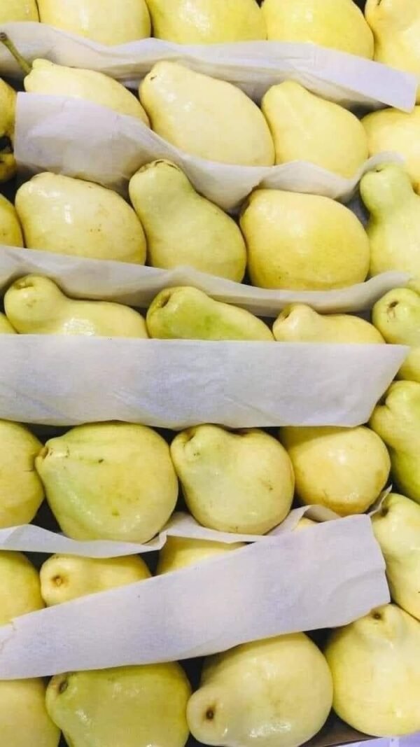 Ägyptische Guave (Ägyptische Psidium)