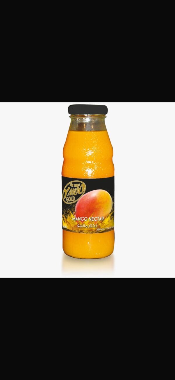 Fragola Mangosaft – 250 ml
