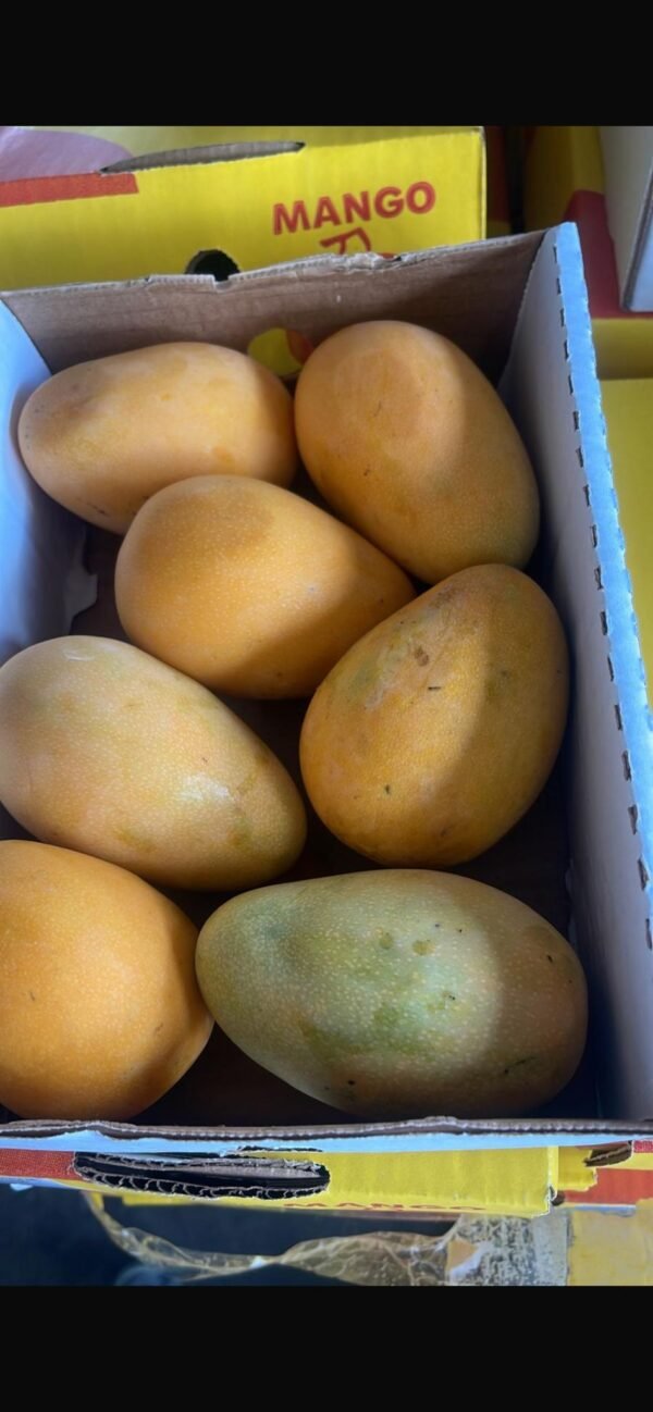Mango mit intensivem Geschmack und Duft – Ägyptisch, 2 kg – Bild 2