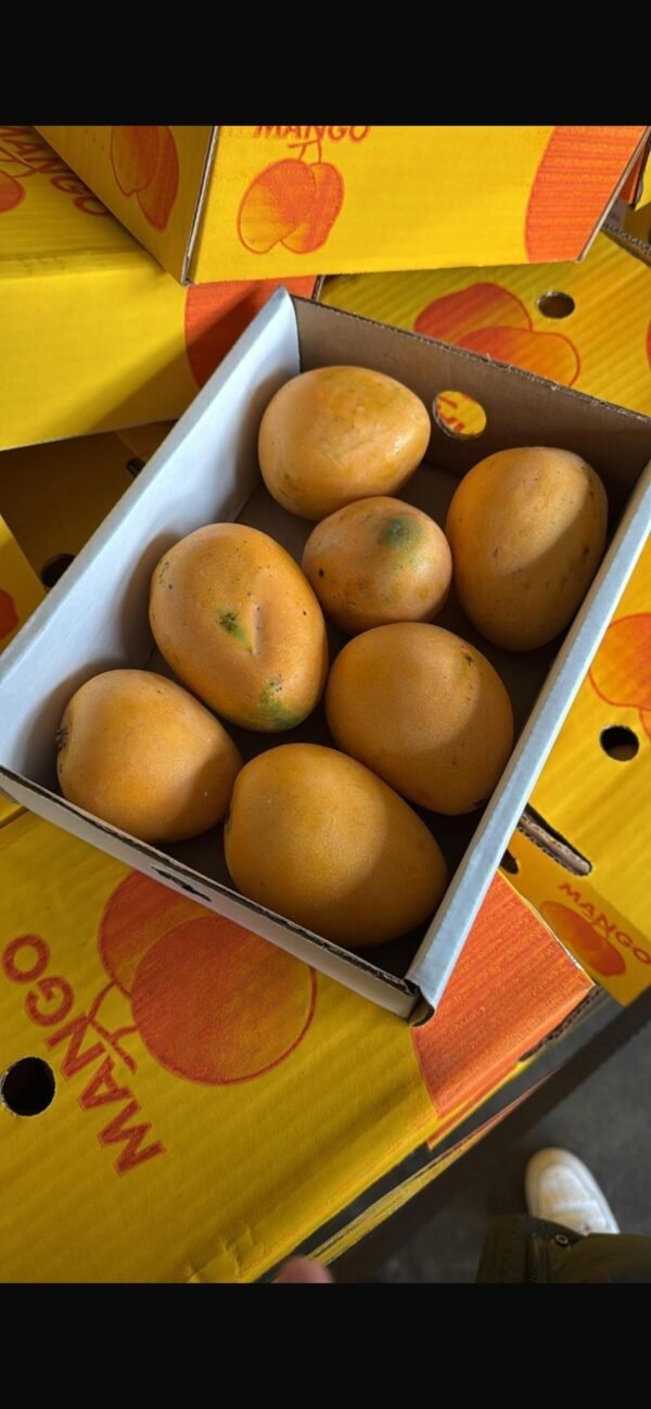 Mango mit intensivem Geschmack und Duft – Ägyptisch, 2 kg – Bild 3
