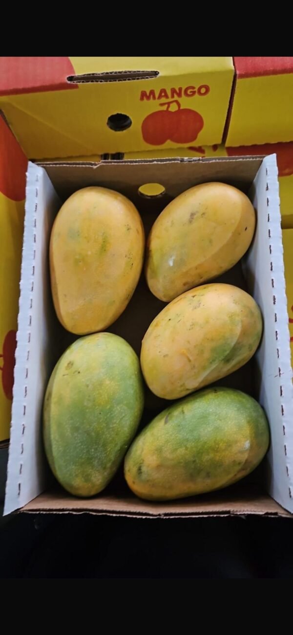 Mango mit intensivem Geschmack und Duft – Ägyptisch, 2 kg – Bild 4
