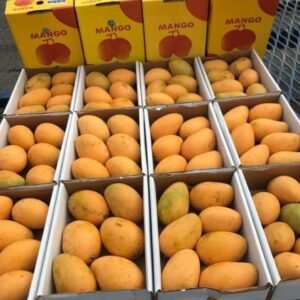 Mango mit intensivem Geschmack und Duft – Ägyptisch, 2 kg