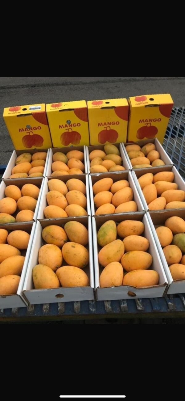 Mango mit intensivem Geschmack und Duft – Ägyptisch, 2 kg