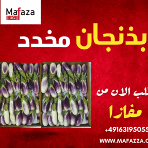 Ägyptische  Auberginen, 3 Kg