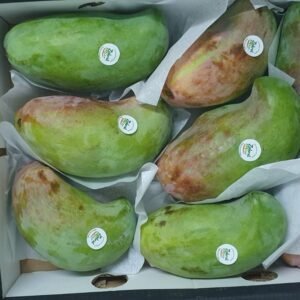 Ägyptische Mango (Sorte: Sidiqah) – 4 Kilogramm