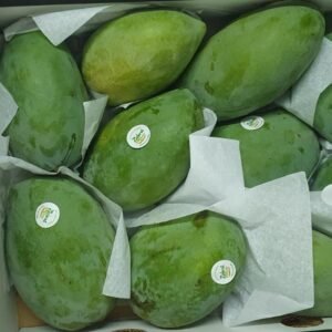 Ägyptische Mango (Sorte: kate  ) – 4 Kilogramm