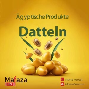 „Ägyptische Barhi-Datteln – 5 Kilogramm
