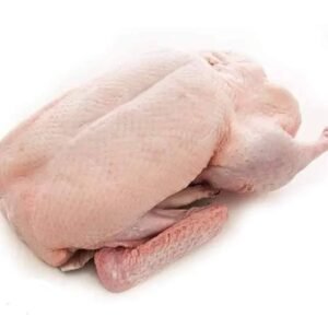 Ägyptische Ente 3.6 kg