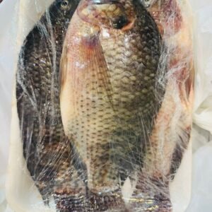 Ägyptischer Tilapia-Fisch